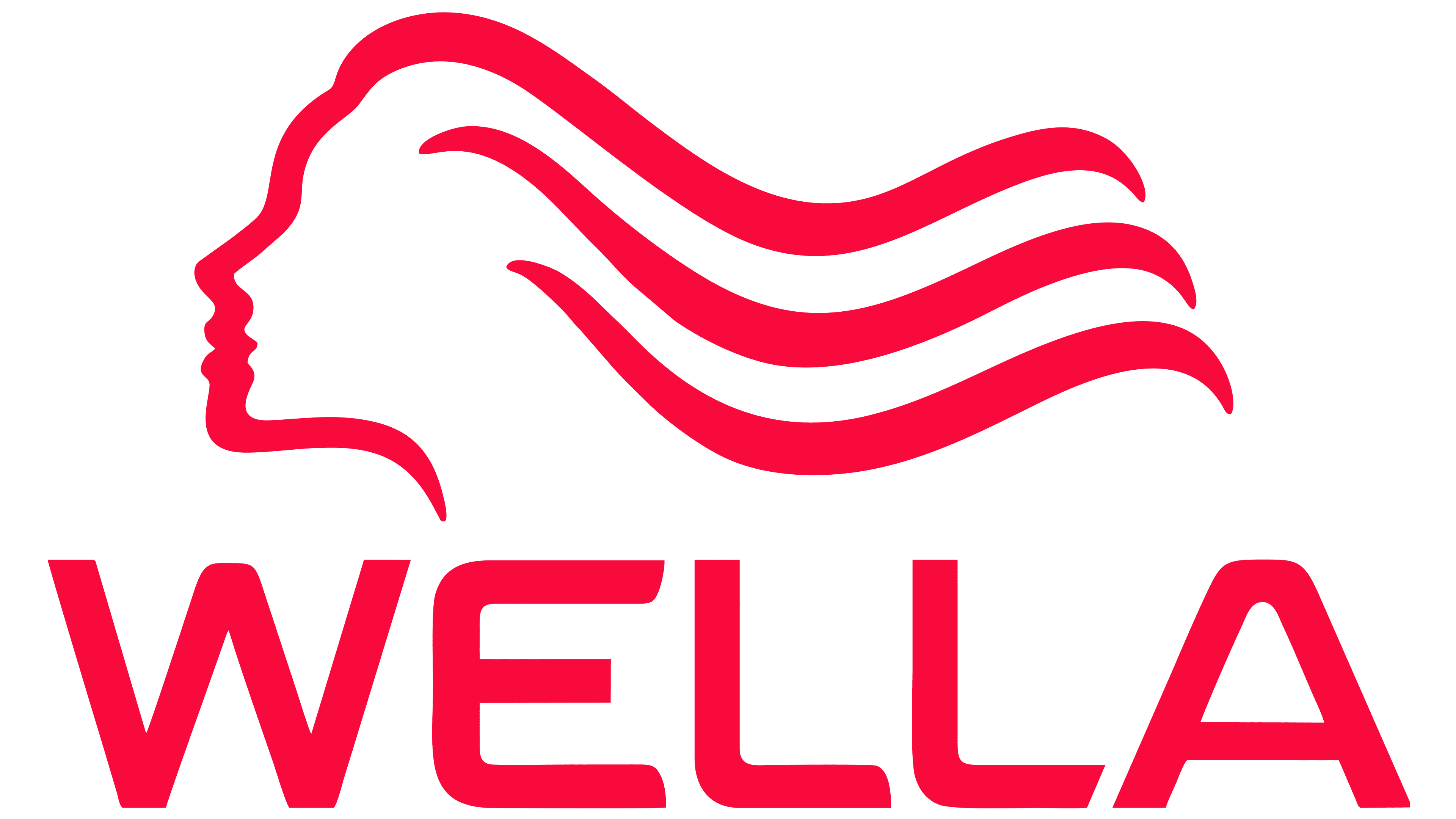 Logo Wellaton